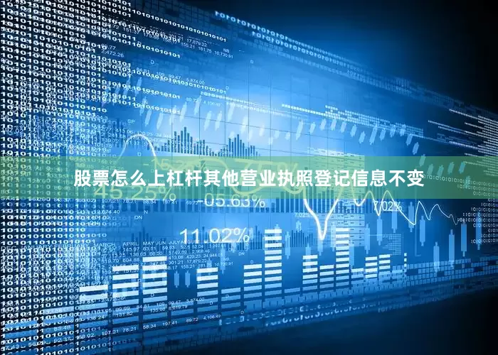 股票怎么上杠杆其他营业执照登记信息不变