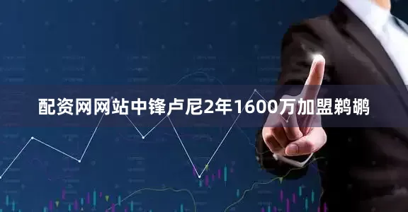 配资网网站中锋卢尼2年1600万加盟鹈鹕