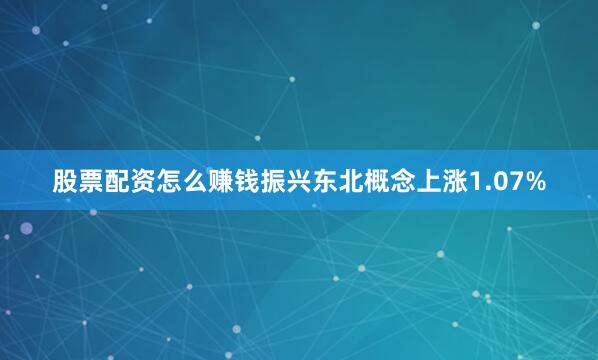 股票配资怎么赚钱振兴东北概念上涨1.07%