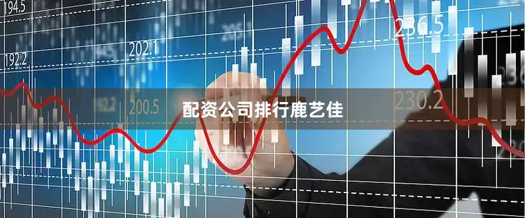 配资公司排行鹿艺佳