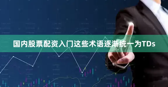 国内股票配资入门这些术语逐渐统一为TDs